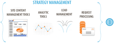Website Strategy Management