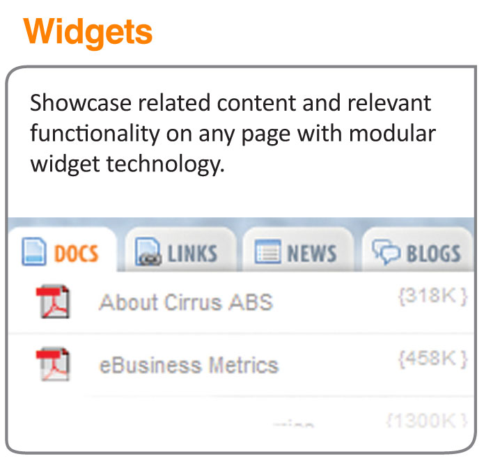 Widget Features
