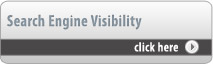 Search Engine Visibility Portfolio